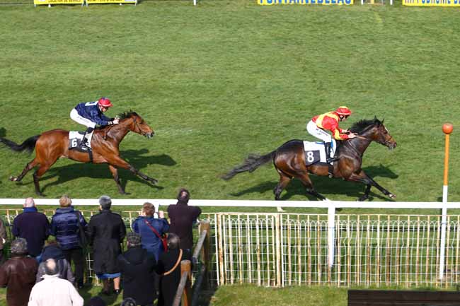 Photo d'arrivée de la course pmu PRIX GEORGES DERCOURT à FONTAINEBLEAU le Vendredi 11 mars 2016
