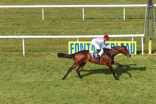 Photo d'arrivée de la course pmu PRIX DES TROIS MASSIFS à FONTAINEBLEAU le Vendredi 11 mars 2016