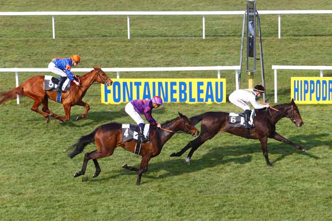 Photo d'arrivée de la course pmu PRIX DE LA DAME JOUANNE à FONTAINEBLEAU le Vendredi 11 mars 2016