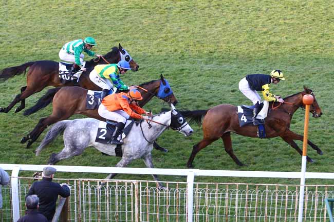 Photo d'arrivée de la course pmu PRIX DU LOIRET à FONTAINEBLEAU le Vendredi 11 mars 2016