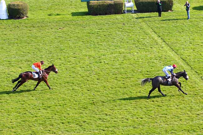 Photo d'arrivée de la course pmu PRIX DE L'YONNE à AUTEUIL le Dimanche 13 mars 2016