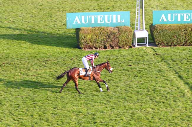 Photo d'arrivée de la course pmu PRIX DUC D'ANJOU à AUTEUIL le Dimanche 13 mars 2016