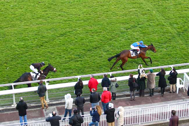 Photo d'arrivée de la course pmu PRIX VENTRILOQUE à AUTEUIL le Dimanche 13 mars 2016