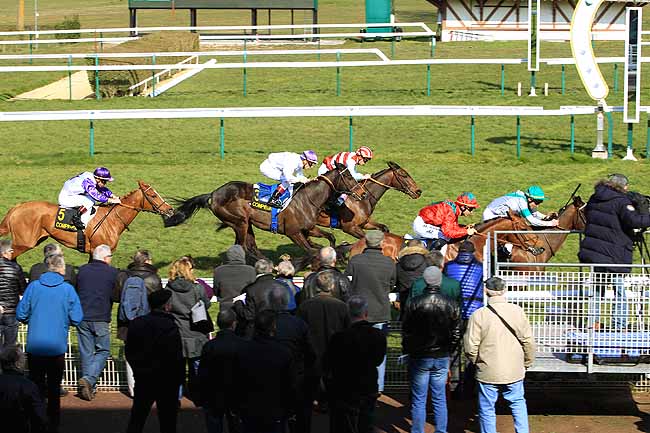 Photo d'arrivée de la course pmu PRIX DU VERMANDOIS à COMPIEGNE le Lundi 14 mars 2016