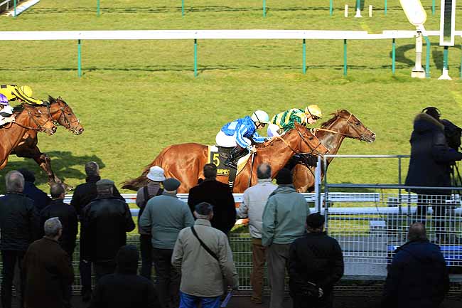 Photo d'arrivée de la course pmu PRIX DE TAILLEFONTAINE à COMPIEGNE le Lundi 14 mars 2016