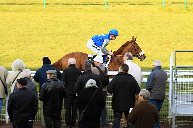 Photo d'arrivée de la course pmu PRIX DE BETHISY SAINT-PIERRE à COMPIEGNE le Lundi 14 mars 2016