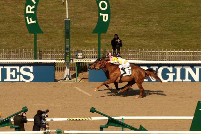 Photo d'arrivée de la course pmu PRIX DE MORRIERES à CHANTILLY le Mardi 15 mars 2016
