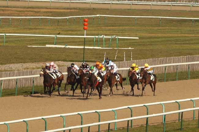 Photo d'arrivée de la course pmu PRIX DE LA BELLE-CROIX à CHANTILLY le Mardi 15 mars 2016