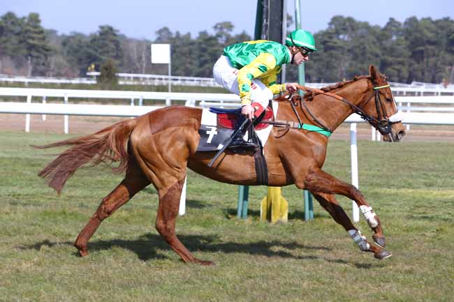 Photo d'arrivée de la course pmu PRIX DE MONTIGNY-SUR-LOING à FONTAINEBLEAU le Mardi 15 mars 2016