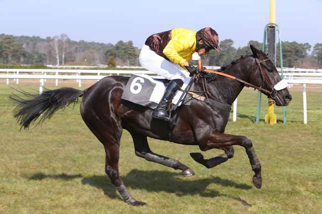 Photo d'arrivée de la course pmu PRIX DU CONSEIL MUNICIPAL DE DAMMARIE-LES-LYS à FONTAINEBLEAU le Mardi 15 mars 2016
