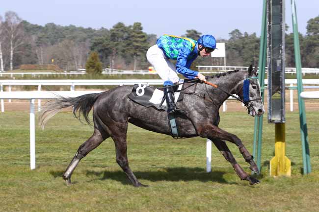 Photo d'arrivée de la course pmu PRIX D'ARBONNE-LA-FORET à FONTAINEBLEAU le Mardi 15 mars 2016