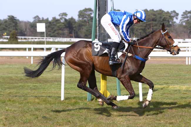 Photo d'arrivée de la course pmu PRIX DE LA CROIX DE SAINT-HEREM à FONTAINEBLEAU le Mardi 15 mars 2016