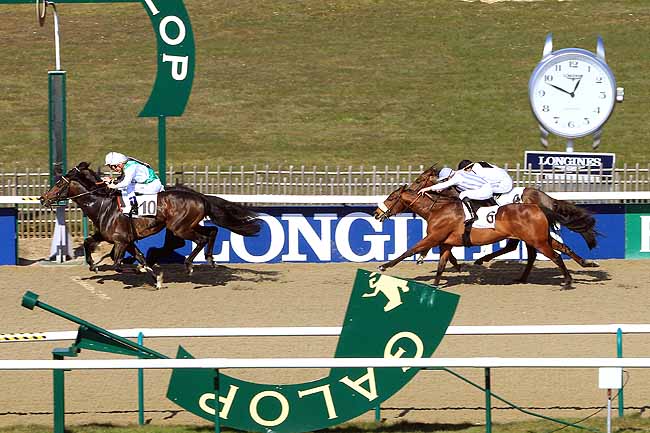Photo d'arrivée de la course pmu PRIX DU HARAS AU BOIS à CHANTILLY le Jeudi 17 mars 2016