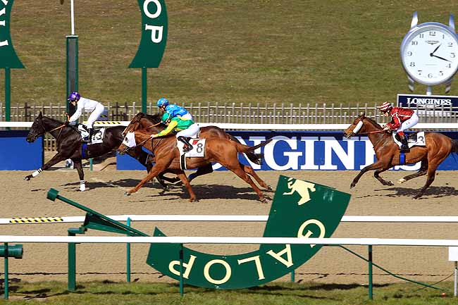 Photo d'arrivée de la course pmu PRIX DE LA GRANGE DES BOIS à CHANTILLY le Jeudi 17 mars 2016