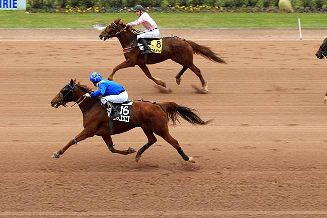 Photo d'arrivée de la course pmu PRIX DE PUCHAY à CAEN le Vendredi 18 mars 2016