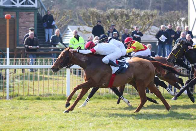 Photo d'arrivée de la course pmu PRIX DES EPICEAS à FONTAINEBLEAU le Vendredi 18 mars 2016