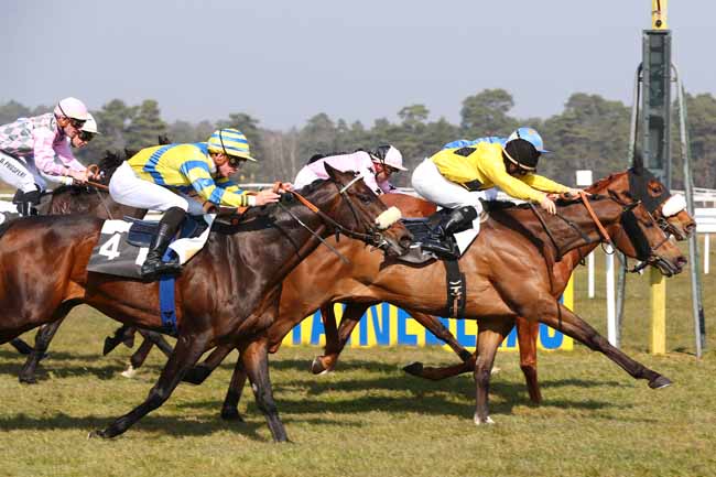 Photo d'arrivée de la course pmu PRIX DU BOIS DE LA COMMANDERIE à FONTAINEBLEAU le Vendredi 18 mars 2016