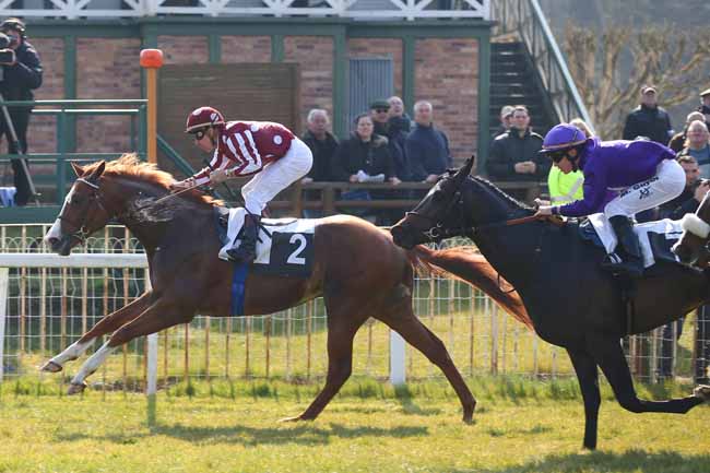 Photo d'arrivée de la course pmu PRIX DE LA MALMONTAGNE à FONTAINEBLEAU le Vendredi 18 mars 2016