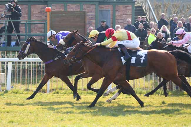 Photo d'arrivée de la course pmu PRIX DE LA TABLE DU GRAND MAITRE à FONTAINEBLEAU le Vendredi 18 mars 2016