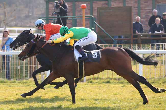 Photo d'arrivée de la course pmu PRIX DES MELEZES à FONTAINEBLEAU le Vendredi 18 mars 2016