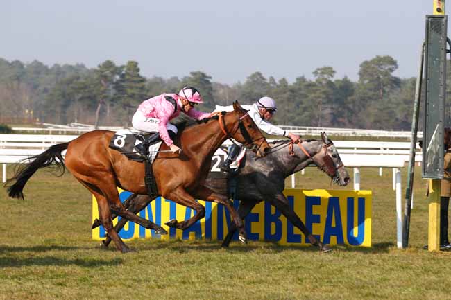 Photo d'arrivée de la course pmu PRIX DES HAUTEURS DE LA SOLLE à FONTAINEBLEAU le Vendredi 18 mars 2016