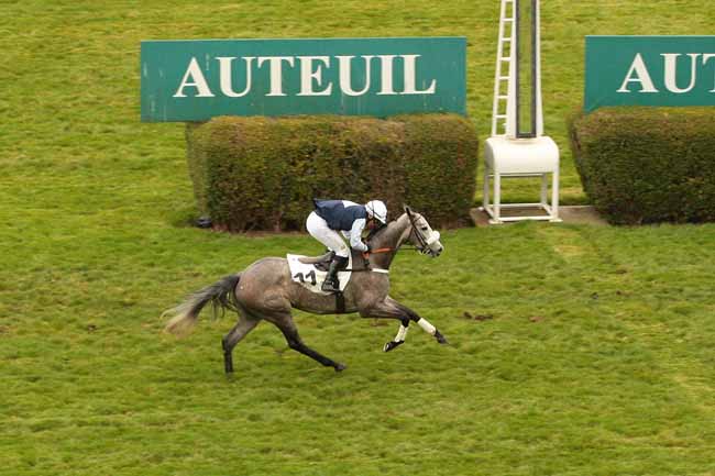 Photo d'arrivée de la course pmu PRIX DIDIER MESCAM à AUTEUIL le Samedi 19 mars 2016