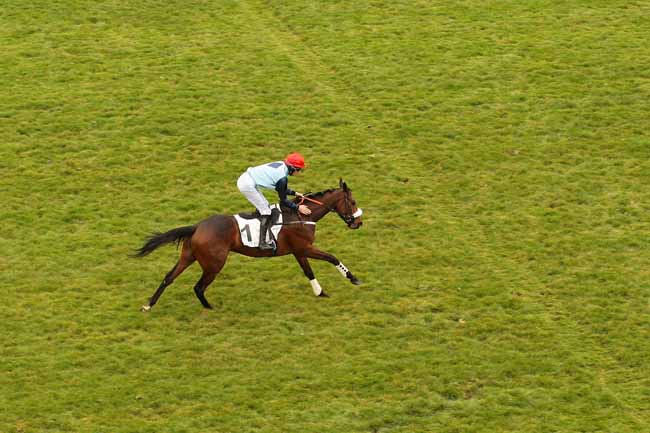 Photo d'arrivée de la course pmu PRIX D'INDY à AUTEUIL le Samedi 19 mars 2016