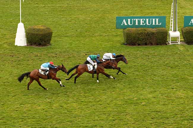 Photo d'arrivée de la course pmu PRIX TROYTOWN à AUTEUIL le Samedi 19 mars 2016