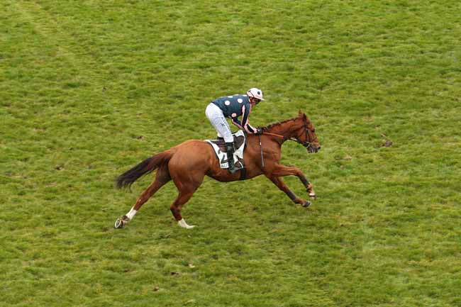 Photo d'arrivée de la course pmu PRIX LILIUM à AUTEUIL le Samedi 19 mars 2016
