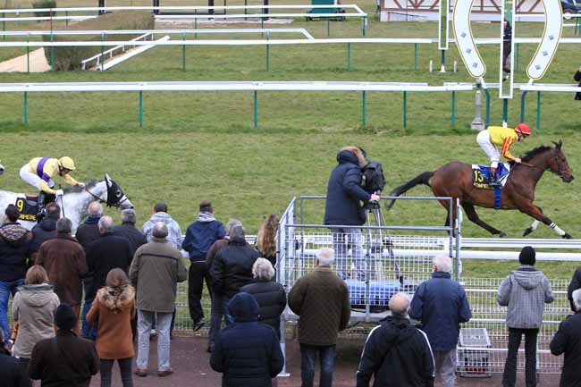 Photo d'arrivée de la course pmu PRIX DE L'AMIENOIS à COMPIEGNE le Lundi 21 mars 2016