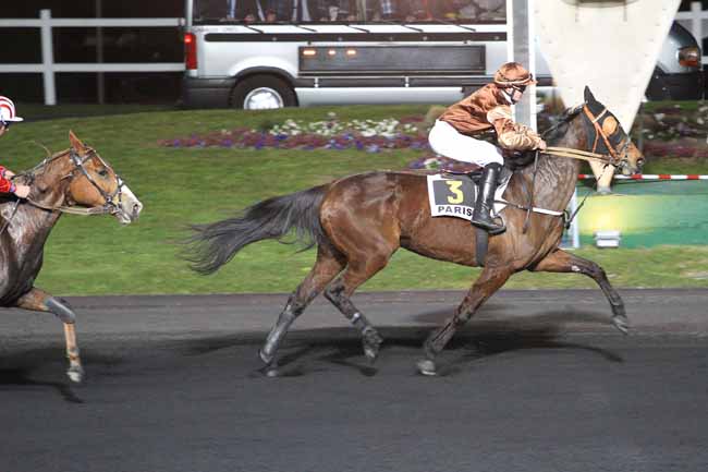 Photo d'arrivée de la course pmu PRIX DE LA VILLE DE LA GACILLY à PARIS-VINCENNES le Mardi 22 mars 2016