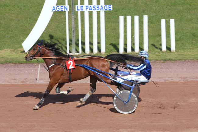 Photo d'arrivée de la course pmu PRIX DE L'AGGLOMERATION D'AGEN à AGEN LE PASSAGE le Mercredi 23 mars 2016