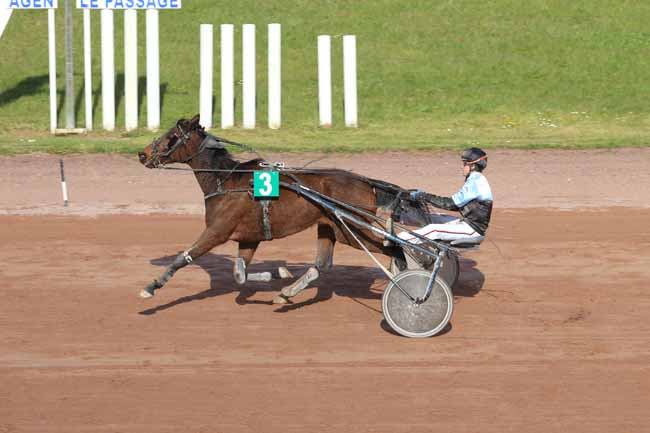 Photo d'arrivée de la course pmu PRIX DU COMITE REGIONAL DU TROT à AGEN LE PASSAGE le Mercredi 23 mars 2016