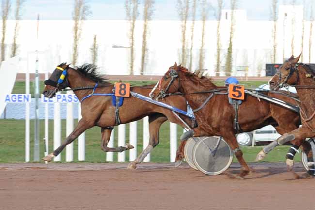 Photo d'arrivée de la course pmu PRIX ROGER LAGENEBRE à AGEN LE PASSAGE le Mercredi 23 mars 2016