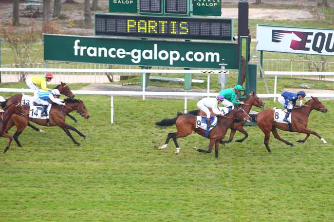 Photo d'arrivée de la course pmu PRIX CALANDRIA à SAINT-CLOUD le Jeudi 24 mars 2016
