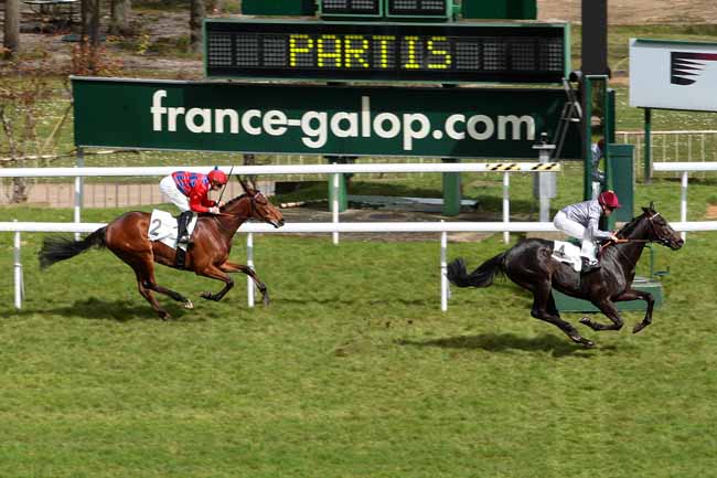 Photo d'arrivée de la course pmu PRIX NASRULLAH à SAINT-CLOUD le Lundi 28 mars 2016