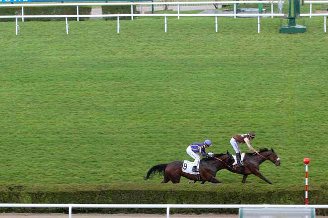 Photo d'arrivée de la course pmu PRIX DU ROUSSILLON à SAINT-CLOUD le Lundi 28 mars 2016