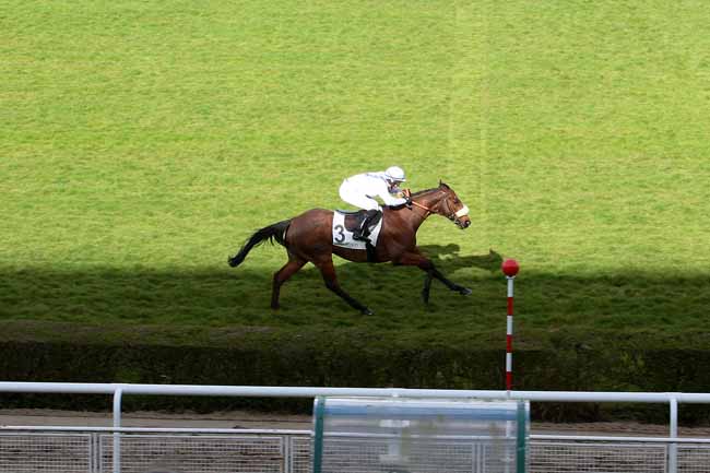Photo d'arrivée de la course pmu PRIX PENTHESILEE à SAINT-CLOUD le Lundi 28 mars 2016