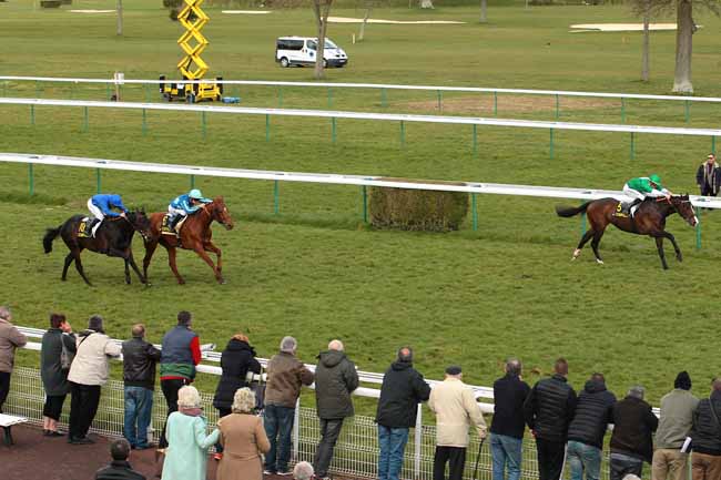 Photo d'arrivée de la course pmu PRIX HIPPOMENE à COMPIEGNE le Mardi 29 mars 2016