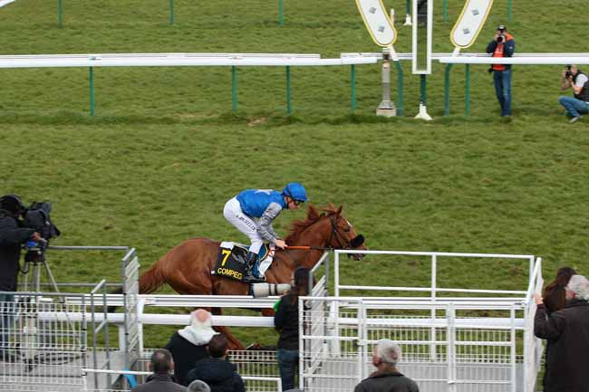 Photo d'arrivée de la course pmu PRIX DE L'AISNE à COMPIEGNE le Mardi 29 mars 2016