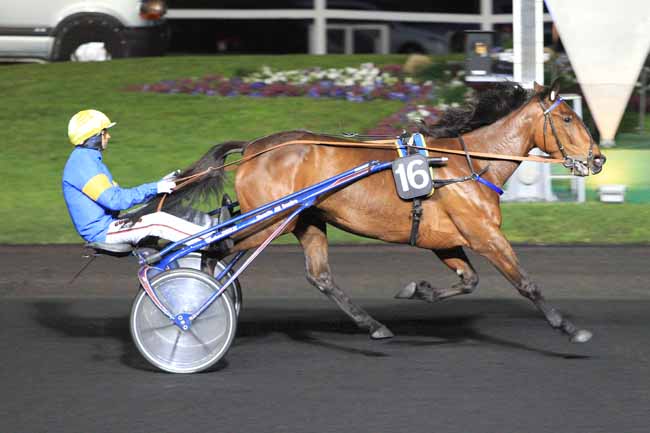 Photo d'arrivée de la course pmu PRIX MARTHA à PARIS-VINCENNES le Mardi 29 mars 2016