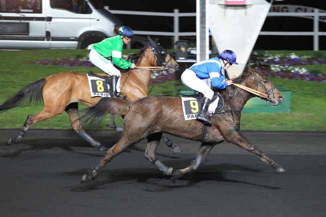 Photo d'arrivée de la course pmu PRIX DE LA VILLE DE BEAUMONT-DE-LOMAGNE à PARIS-VINCENNES le Mardi 29 mars 2016