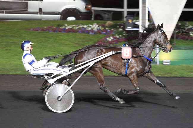 Photo d'arrivée de la course pmu PRIX APPOLONIA à PARIS-VINCENNES le Mardi 29 mars 2016