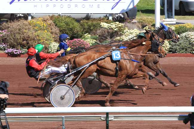 Photo d'arrivée de la course pmu PRIX DOCTEUR YVES BACHELIER à MARSEILLE-BORELY le Mercredi 30 mars 2016