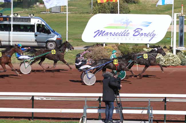 Photo d'arrivée de la course pmu PRIX DE SALON-DE-PROVENCE à MARSEILLE-BORELY le Mercredi 30 mars 2016