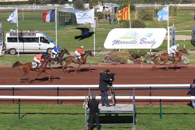 Photo d'arrivée de la course pmu PRIX DES CAVES SAINT-MARC DE CAROMB à MARSEILLE-BORELY le Mercredi 30 mars 2016