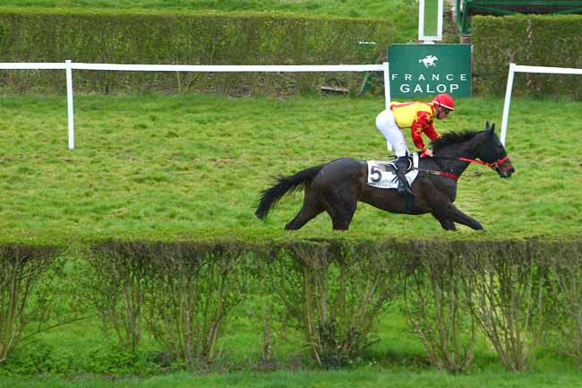 Photo d'arrivée de la course pmu PRIX DE BORELY à ENGHIEN le Mercredi 30 mars 2016