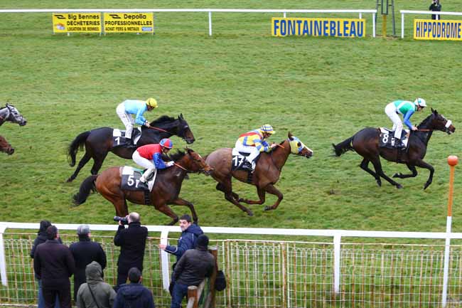 Photo d'arrivée de la course pmu PRIX DU CONSEIL MUNICIPAL DE FONTAINEBLEAU à FONTAINEBLEAU le Jeudi 31 mars 2016