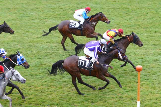 Photo d'arrivée de la course pmu PRIX DE L'OFFICE DE TOURISME DU PAYS DE FONTAINEBLEAU à FONTAINEBLEAU le Jeudi 31 mars 2016