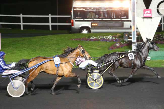 Photo d'arrivée de la course pmu PRIX AEMILIA à PARIS-VINCENNES le Vendredi 1 avril 2016